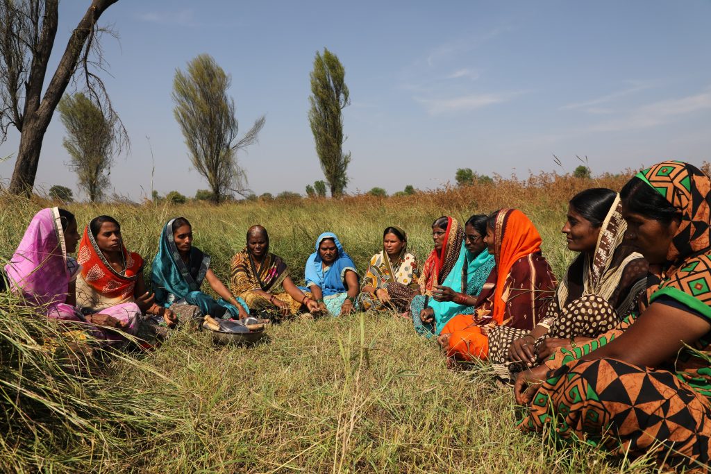 gender bias in agriculture technology